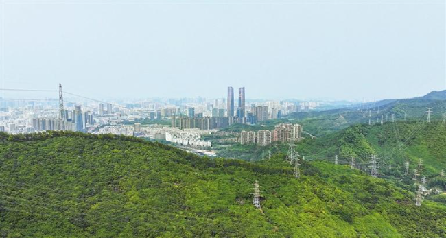 20240401 Exploring Shenzhen’s greenways 3.jpg
