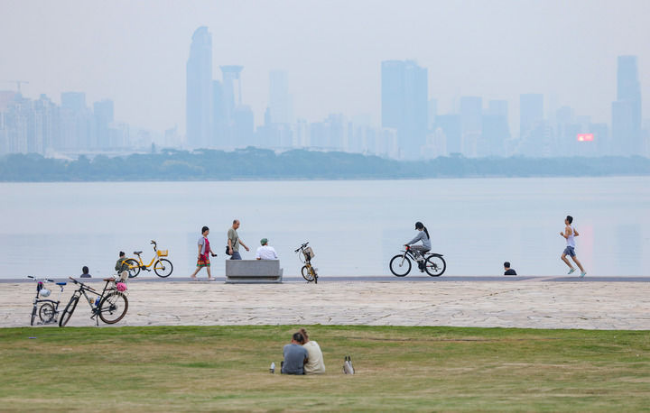 「鳥のために消灯」　「鳥にやさしい都市」を目指す深セン