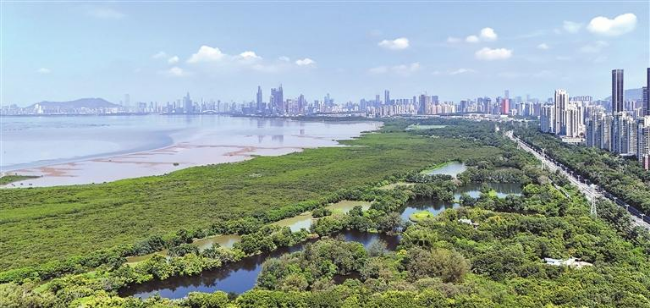 Shenzhen adopts regulation to ...